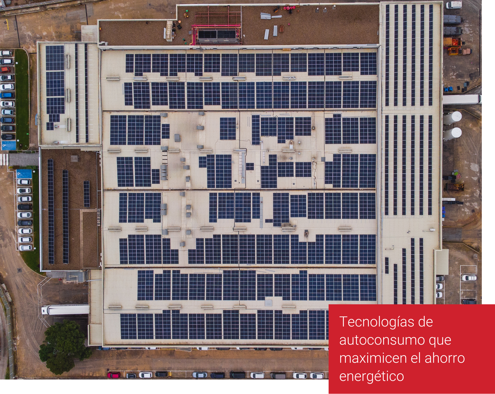 Disrupting the energy industry to change the world for better (8)